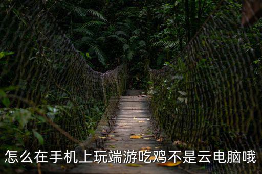 怎么在手机上玩端游吃鸡不是云电脑哦
