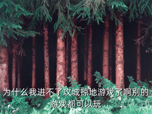 为什么我进不了攻城掠地游戏了啊别的游戏都可以玩