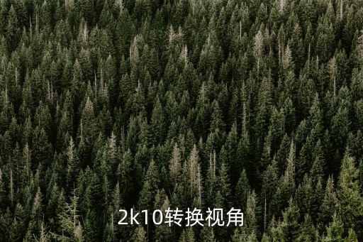 2k10转换视角