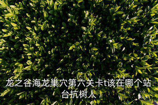 龙之谷海龙巢穴第六关卡t该在哪个站台抗树人