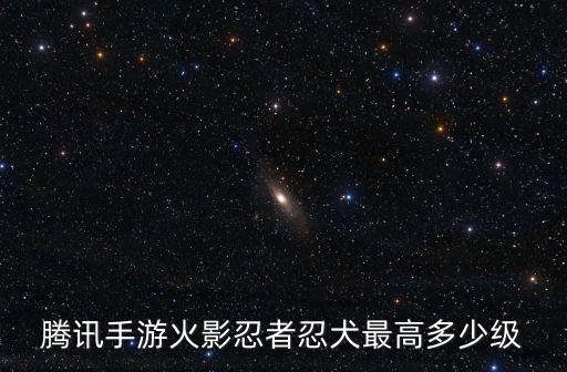 腾讯手游火影忍者忍犬最高多少级