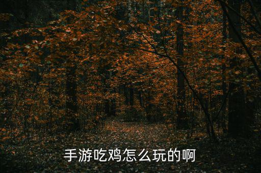 手游吃鸡怎么玩的啊
