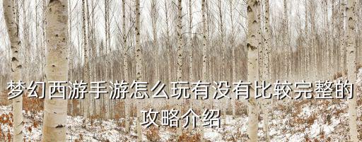 梦幻西游手游怎么玩有没有比较完整的攻略介绍