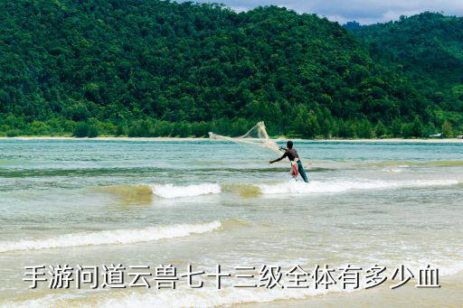 手游问道云兽七十三级全体有多少血
