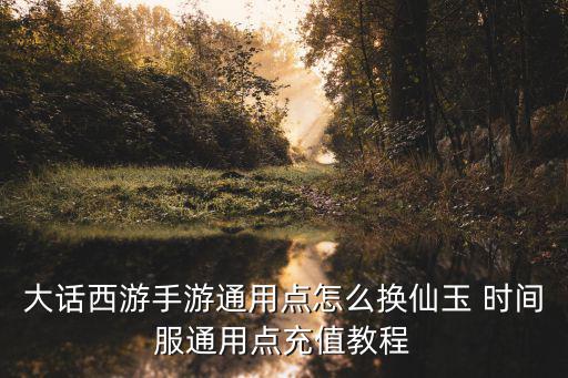 大话西游手游通用点怎么换仙玉 时间服通用点充值教程