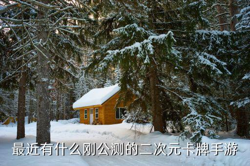 卡牌手游圣魂纷争怎么玩，我想知道这款游戏该如何玩