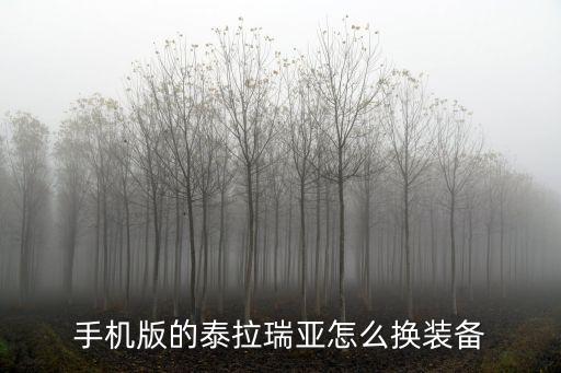 手机版的泰拉瑞亚怎么换装备