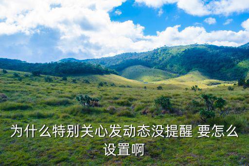 为什么特别关心发动态没提醒 要怎么设置啊