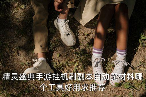 精灵盛典手游挂机刷副本自动卖材料哪个工具好用求推荐