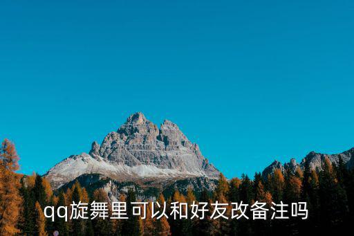 qq旋舞里可以和好友改备注吗