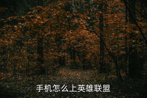 手机怎么扫码上联盟手游，手机怎么上英雄联盟
