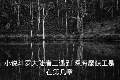 小说斗罗大陆唐三遇到 深海魔鲸王是在第几章