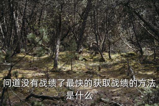 问道没有战绩了最快的获取战绩的方法是什么
