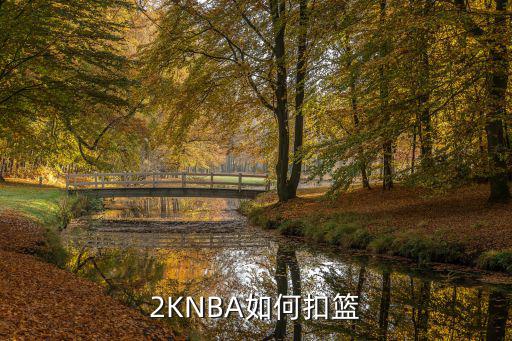 nba 2k手游中锋怎么扣篮，NBA2K怎么扣篮