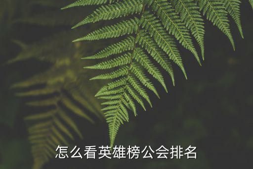 怎么看英雄榜公会排名