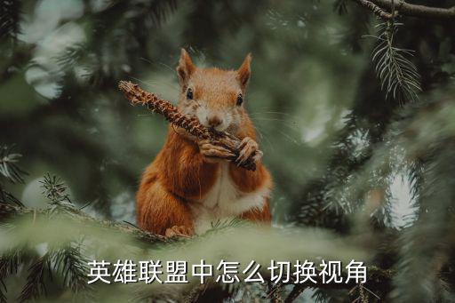 英雄联盟中怎么切换视角