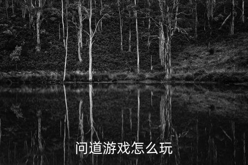 问道游戏怎么玩