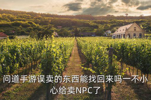问道手游误卖的东西能找回来吗一不小心给卖NPC了