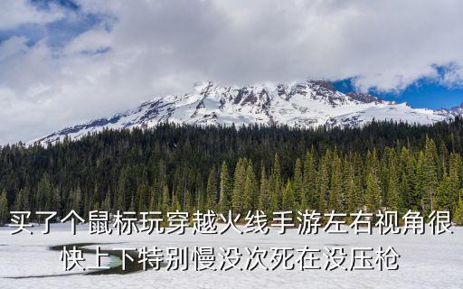 cf手游鼠标卡怎么解决，玩CF一动鼠标就卡只要不动鼠标就很流畅用触摸板移动也不卡