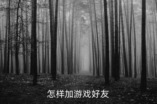 怎样加游戏好友