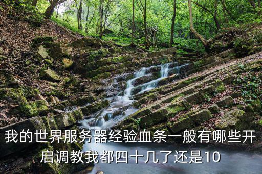 我的世界服务器经验血条一般有哪些开启调教我都四十几了还是10