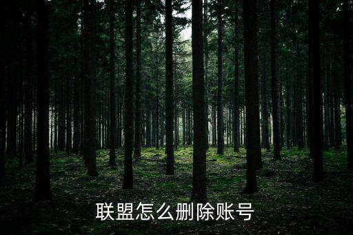 联盟怎么删除账号