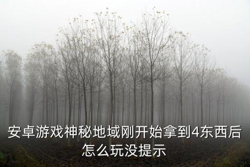 安卓游戏神秘地域刚开始拿到4东西后怎么玩没提示