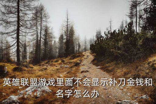 英雄联盟游戏里面不会显示补刀金钱和名字怎么办