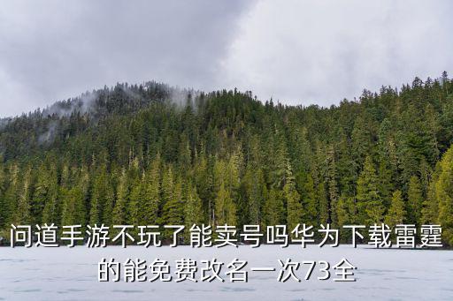问道手游不玩了能卖号吗华为下载雷霆的能免费改名一次73全