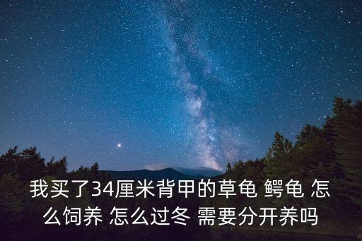 我买了34厘米背甲的草龟 鳄龟 怎么饲养 怎么过冬 需要分开养吗
