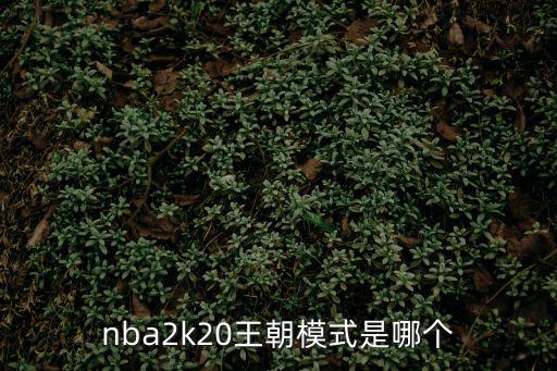 nba2k20王朝模式是哪个