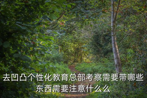 凹凸手游1级考核怎么过，凹凸世界手游如何在大厅坐下