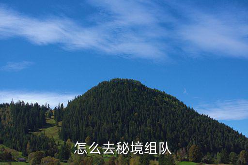 怎么去秘境组队