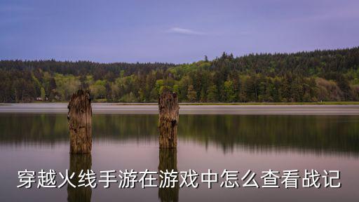 cf手游怎么看自己的传奇币，穿越火线手游在游戏中怎么查看战记