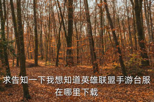英雄联盟手游安卓怎么下载台服，怎么下载英雄联盟游戏