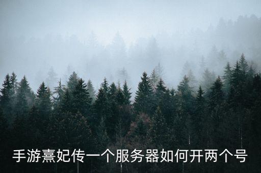 手游熹妃传一个服务器如何开两个号