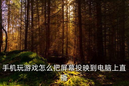 虎牙直播手游游戏怎么投屏到电脑，在手机玩游戏怎么把画面投放到笔记本屏幕