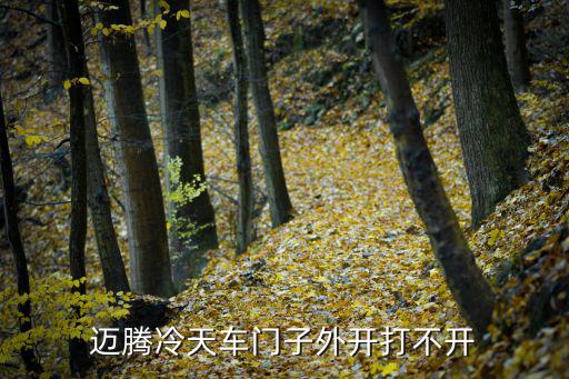 迈腾冷天车门子外开打不开