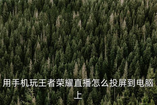 用手机玩王者荣耀直播怎么投屏到电脑上