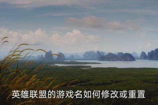 英雄联盟手游重复名怎么设置，LOL怎么可以改重复ID