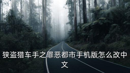 狭盗猎车手之罪恶都市手机版怎么改中文