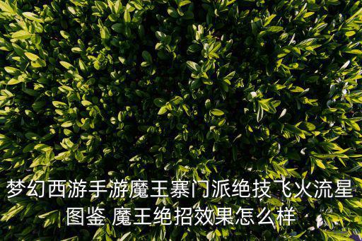梦幻西游手游魔王寨门派绝技飞火流星图鉴 魔王绝招效果怎么样