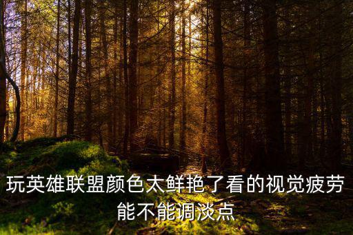 玩英雄联盟颜色太鲜艳了看的视觉疲劳能不能调淡点