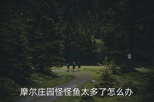 摩尔庄园怪怪鱼太多了怎么办