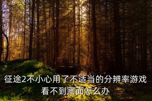 征途2不小心用了不适当的分辨率游戏看不到画面怎么办