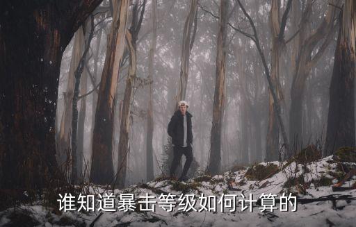 谁知道暴击等级如何计算的