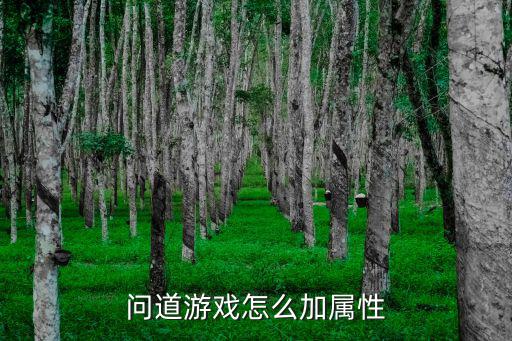 问道游戏怎么加属性