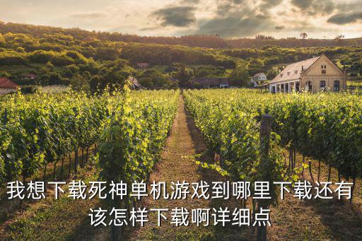 我想下载死神单机游戏到哪里下载还有该怎样下载啊详细点