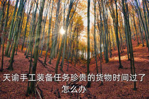 天瑜手游光刃副本怎么带技能，天谕手工装备任务珍贵的货物时间过了怎么办