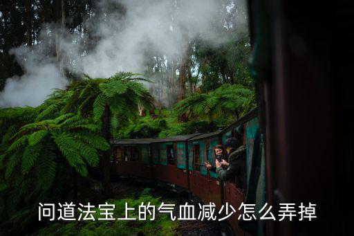 问道法宝上的气血减少怎么弄掉